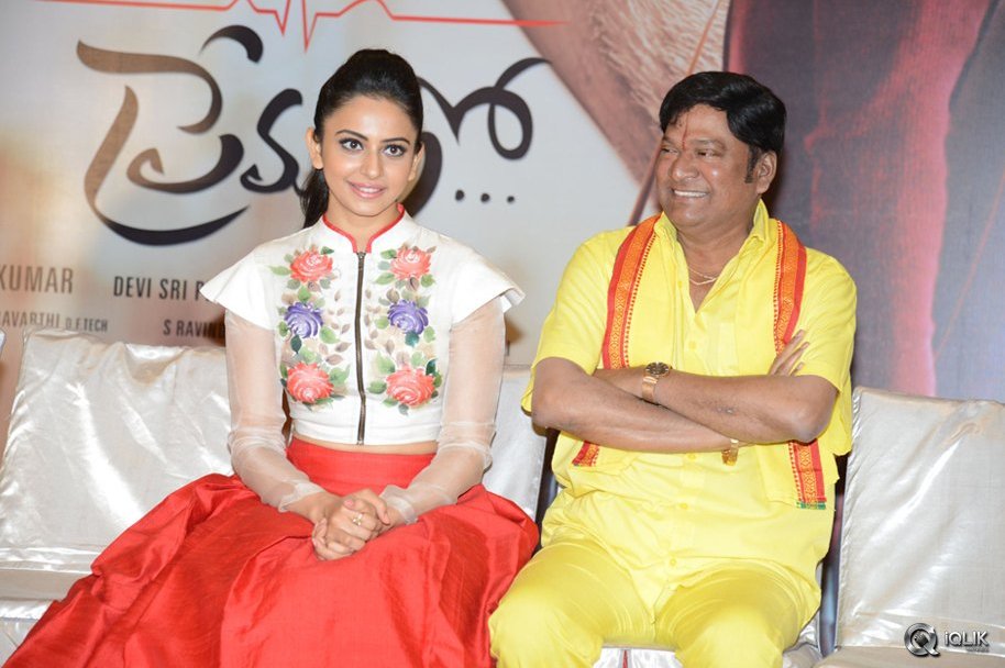 Nannaku-Prematho-Movie-Grand-Success-Meet